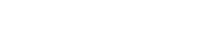 ARMS HOUSE OPTION